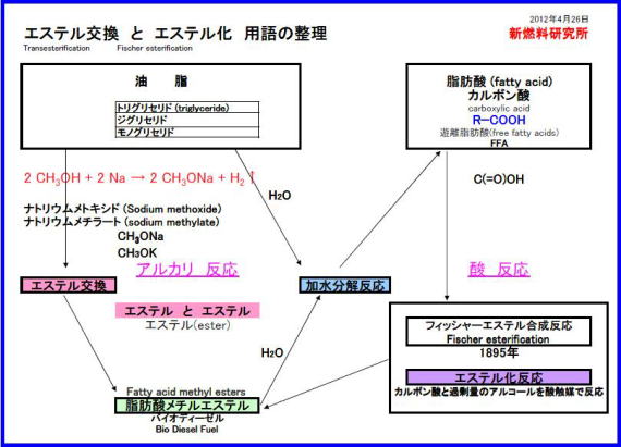 �o�C�I�f�B�[�[���@�_�@�A���J���@����